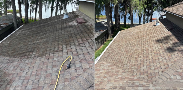soft roof washing photo (1).jpg